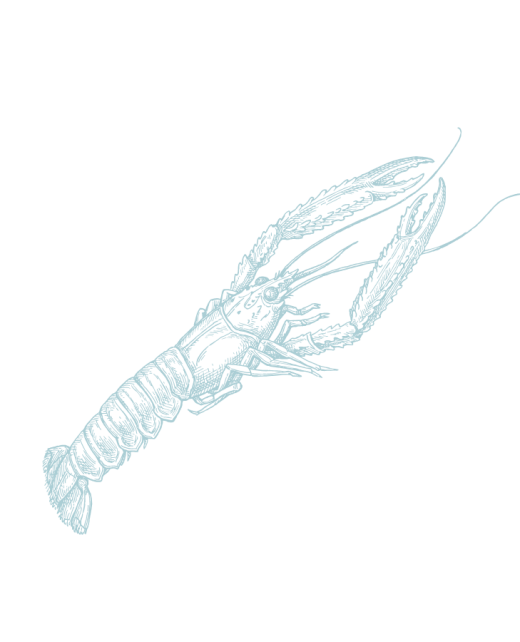 Hebridean Luxury Holidays - langoustine